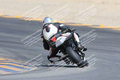 media/Mar-10-2024-SoCal Trackdays (Sun) [[6228d7c590]]/9-Turn 8 Backside (1150am)/